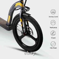 Foldable 20 inch Adult Big Wheel Scooter 10-15 Day Shipping