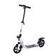 Soozier Teens Adult Pro Kick Scooter Foldable Ride On Bike 3 Level Height Adjust