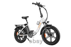 U7 Electric Bike for Adults 20AH Samsung Battery 750W Fat Tires Ebike 48V 28MPH